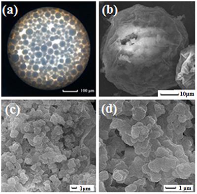 Thermo-Responsive Molecularly Imprinted Hydrogels for Selective Adsorption and Controlled Release of Phenol From Aqueous Solution